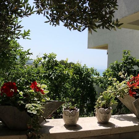 Beautifull Sea View Apartment Baška Voda Εξωτερικό φωτογραφία